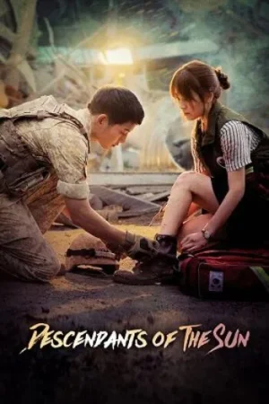 Download Descendants Of The Sun (Season 1) Dual Audio {Hindi-Korean} ZEE5 WEB-DL Series 720p | 1080p
